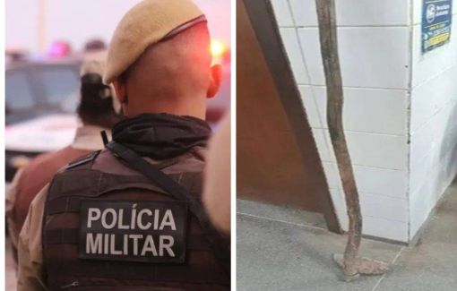 Bahia: Homem é detido após tentar atacar idoso com enxada