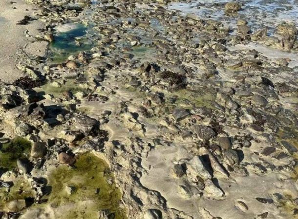 Prefeitura de Salvador decreta emergência ambiental após contaminação química na praia de São Tomé de Paripe