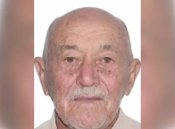 Idoso morre após ataque de abelhas no interior da Bahia 