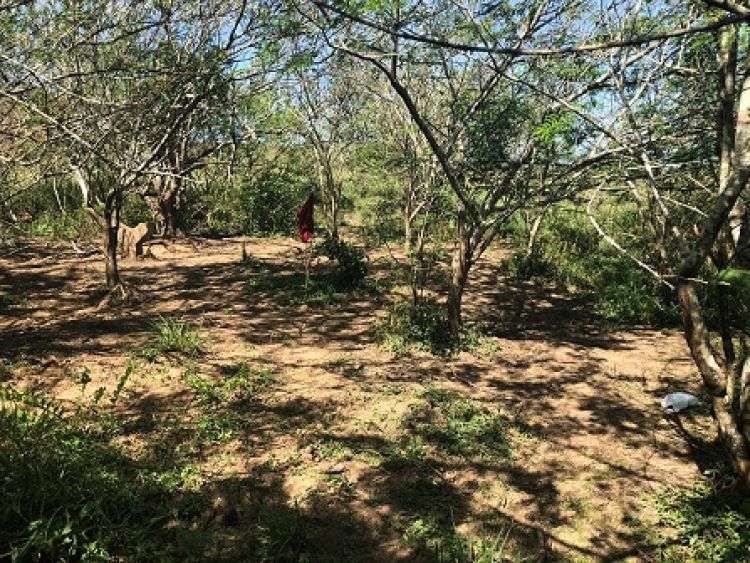 Foto: Divulgação SSP