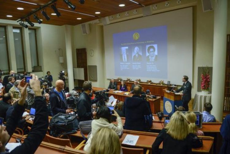 Nobel de Medicina 2015 sai para pesquisadores dos EUA, do Japão e da ChinaFredrik Sandberg/Agência Lusa