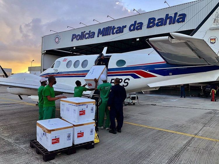 Divulgação Sesab