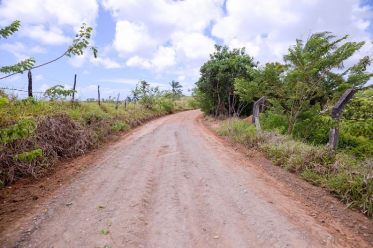 Foto: Josué Silva