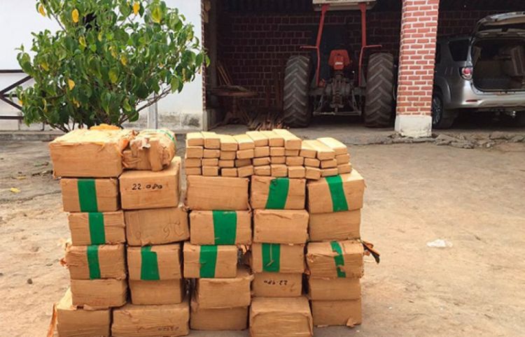 
Quase 900 quilos de drogas foram apreendidas em operação da Polícia Federal (Foto: Divulgação/Polícia Federal)