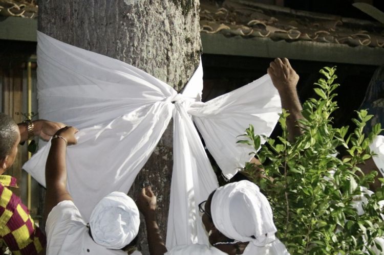  Foto: Danilo Magalhães