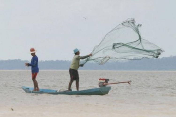 Falta de dados sobre pesca é obstáculo para gestão sustentável, diz secretário