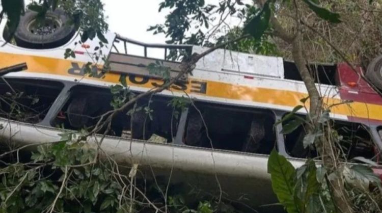 Ônibus com 40 pessoas cai em ribanceira em Alagoas • Reprodução/Redes Sociais